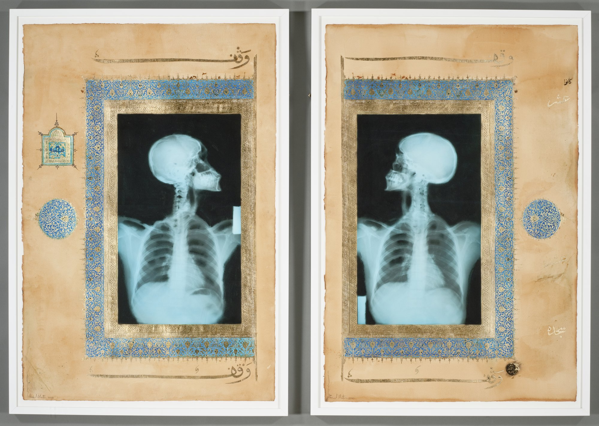 skulls